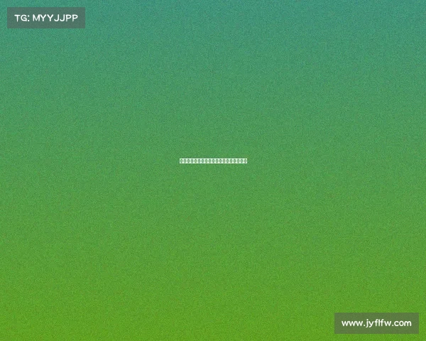 提升足球俱乐部转会效率的策略与实践探索