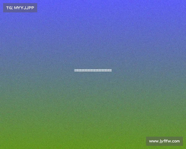 谢菲联足球俱乐部历史辉煌与未来发展潜力的深度分析