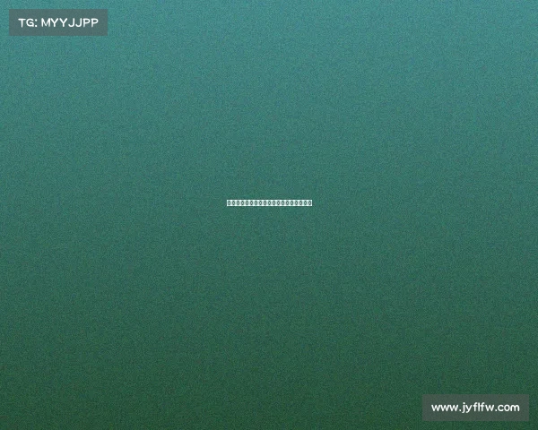 提升足球俱乐部转会效率的策略与实践探索